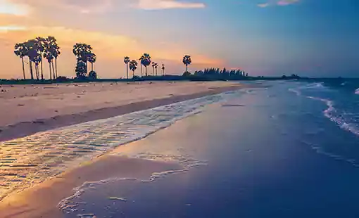 Land Of Gold Alibaug