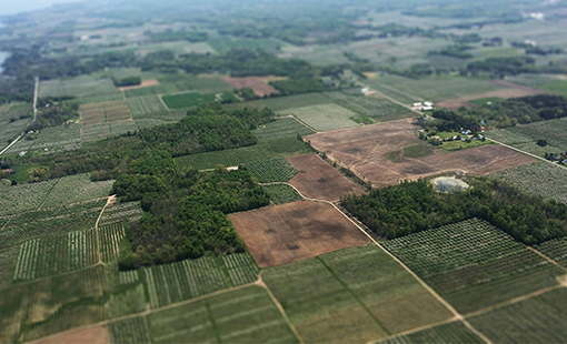 House Of Abhinandan Lodha Jaipur Images