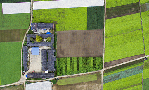 House Of Abhinandan Lodha Jaipur Images