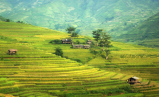 Abhinandan Lodha Jaipur Images