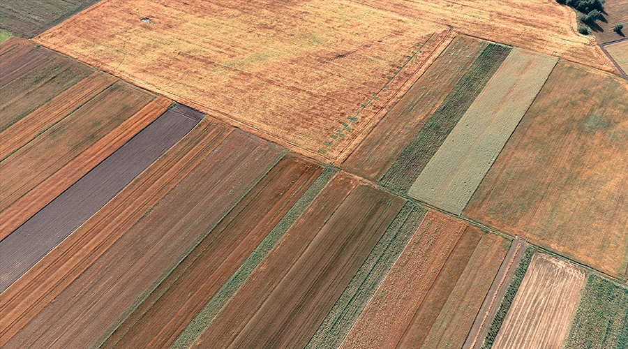 Abhinandan Lodha Jaipur Plots