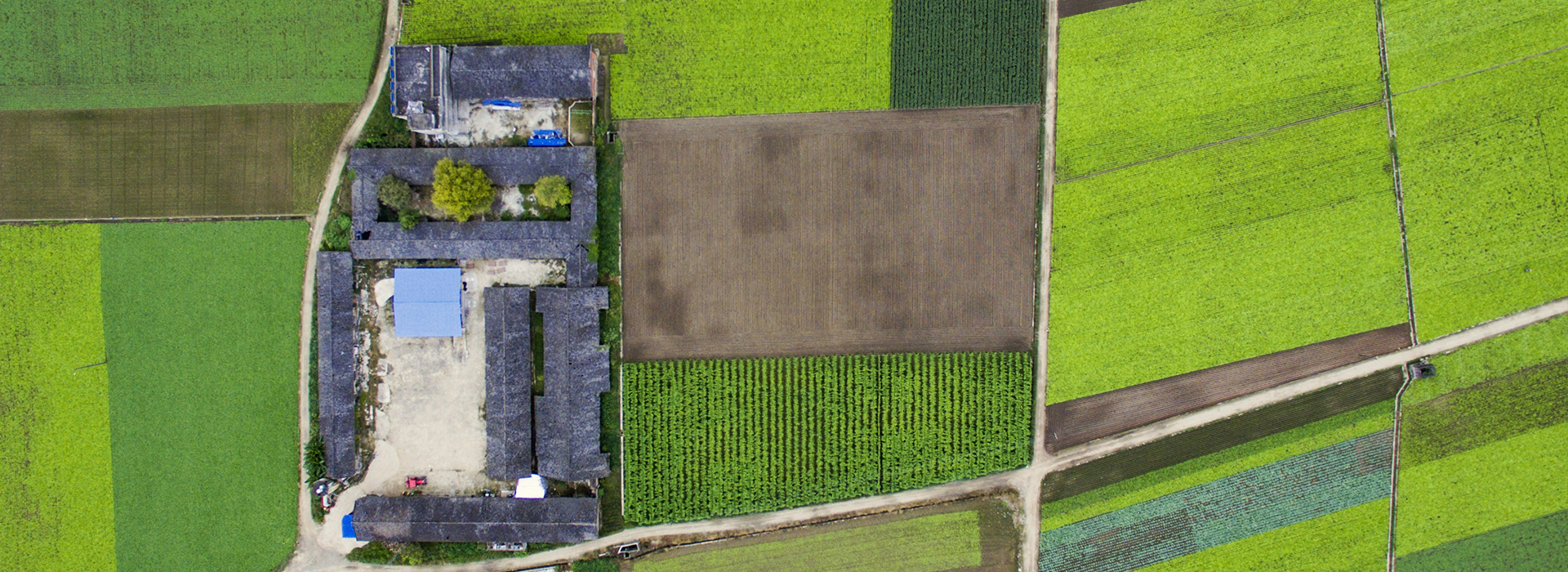 House Of Abhinandan Lodha Jaipur