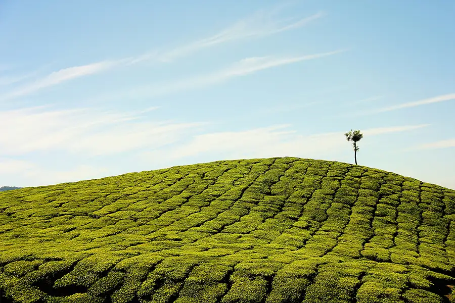 Abhinandan Lodha Lonavala