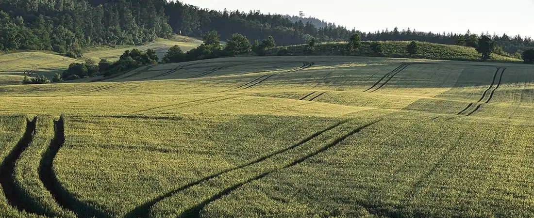 Abhinandan Lodha Lonavala