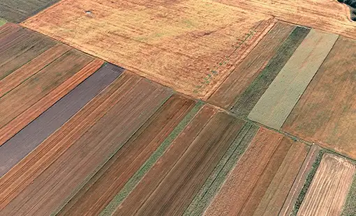 Abhinandan Lodha Lonavala