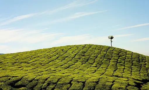 Abhinandan Lodha Lonavala