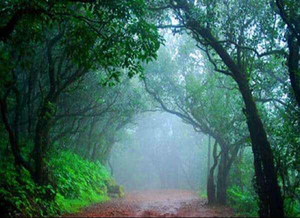 Foothills Of Matheran