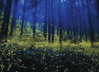 Foothills Of Matheran