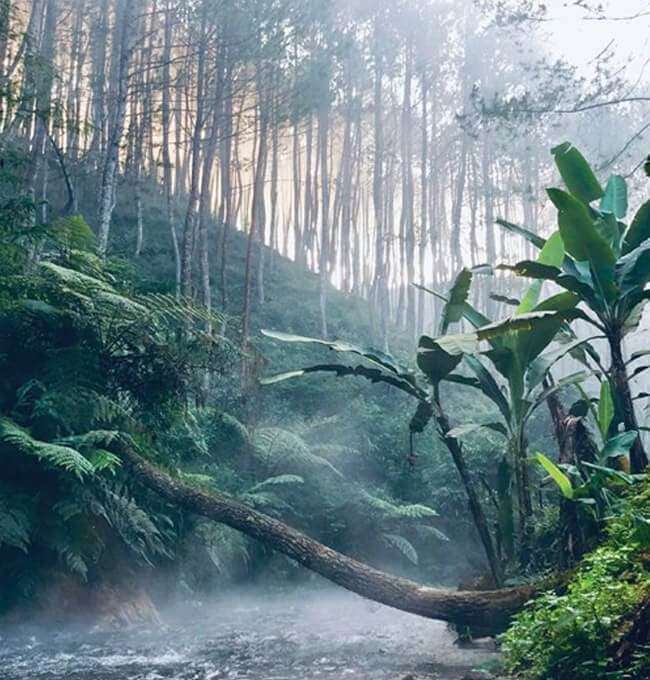 Foothills Of Matheran