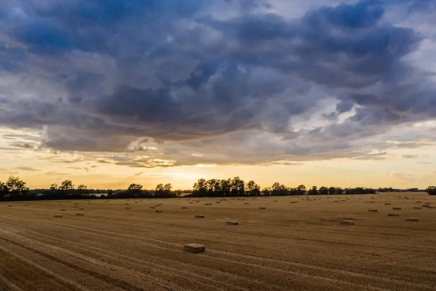 Abhinandan Lodha Udaipur