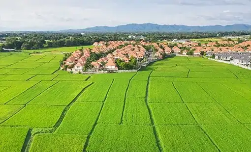 Vrindavan Global Images