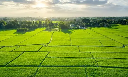 House Of Abhinandan Lodha Dighi Port Plots Plot Units Images