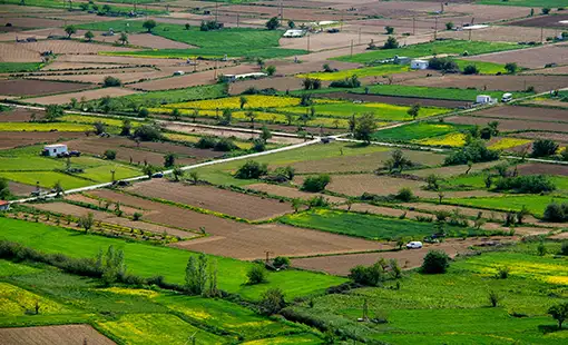 Hoabl Project Dighi Images