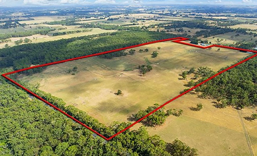 HoABL Tomorrow World Images